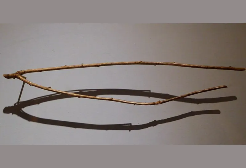 Fork in the Ground: Why Appalachian Water Witching Refuses to Be Explained Away
