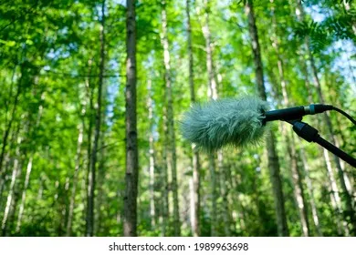 Ears to the Ground: Appalachian Teens Are Recording Their Mountains Before the Sound Changes
