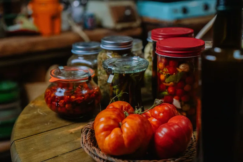 Planted by the Dead, Tended by the Living: Appalachia's Heirloom Seed Keepers