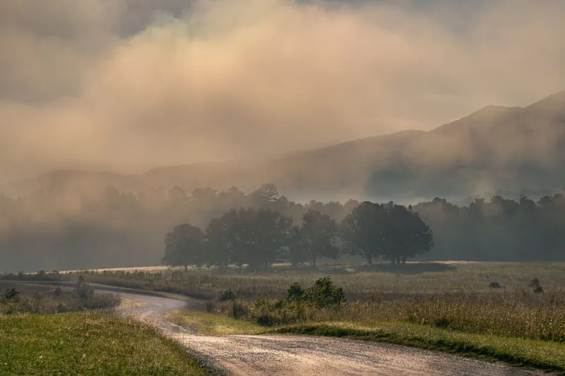 Turn Left at the Old Sycamore: The Living Map Nobody Wrote Down