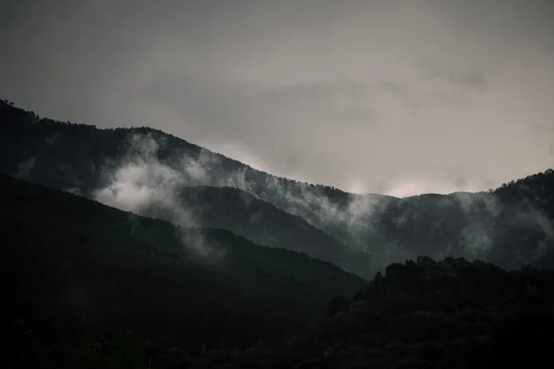Something Out There: The Unidentified Calls Haunting Appalachian Nights